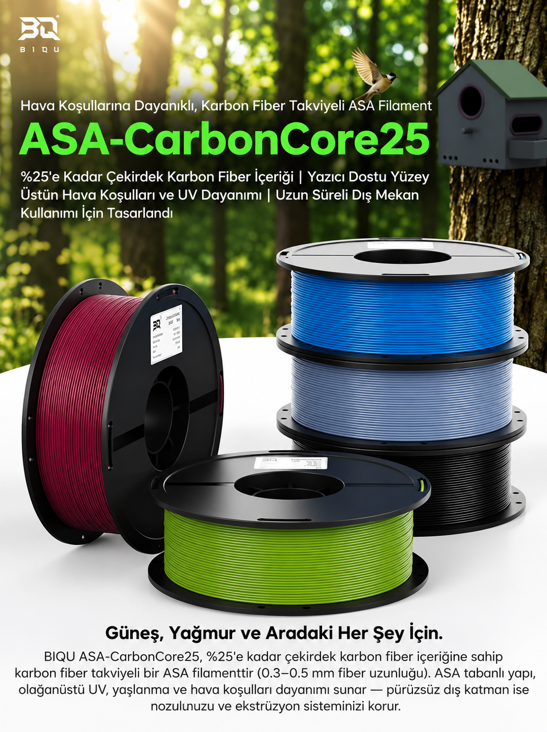BIQU-ASA-CARBONCORE.webp