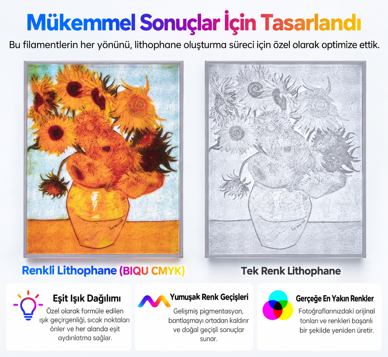 BIQU-CMYK-SPECS2.webp