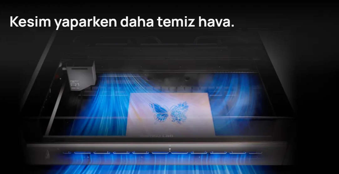 image20.png
