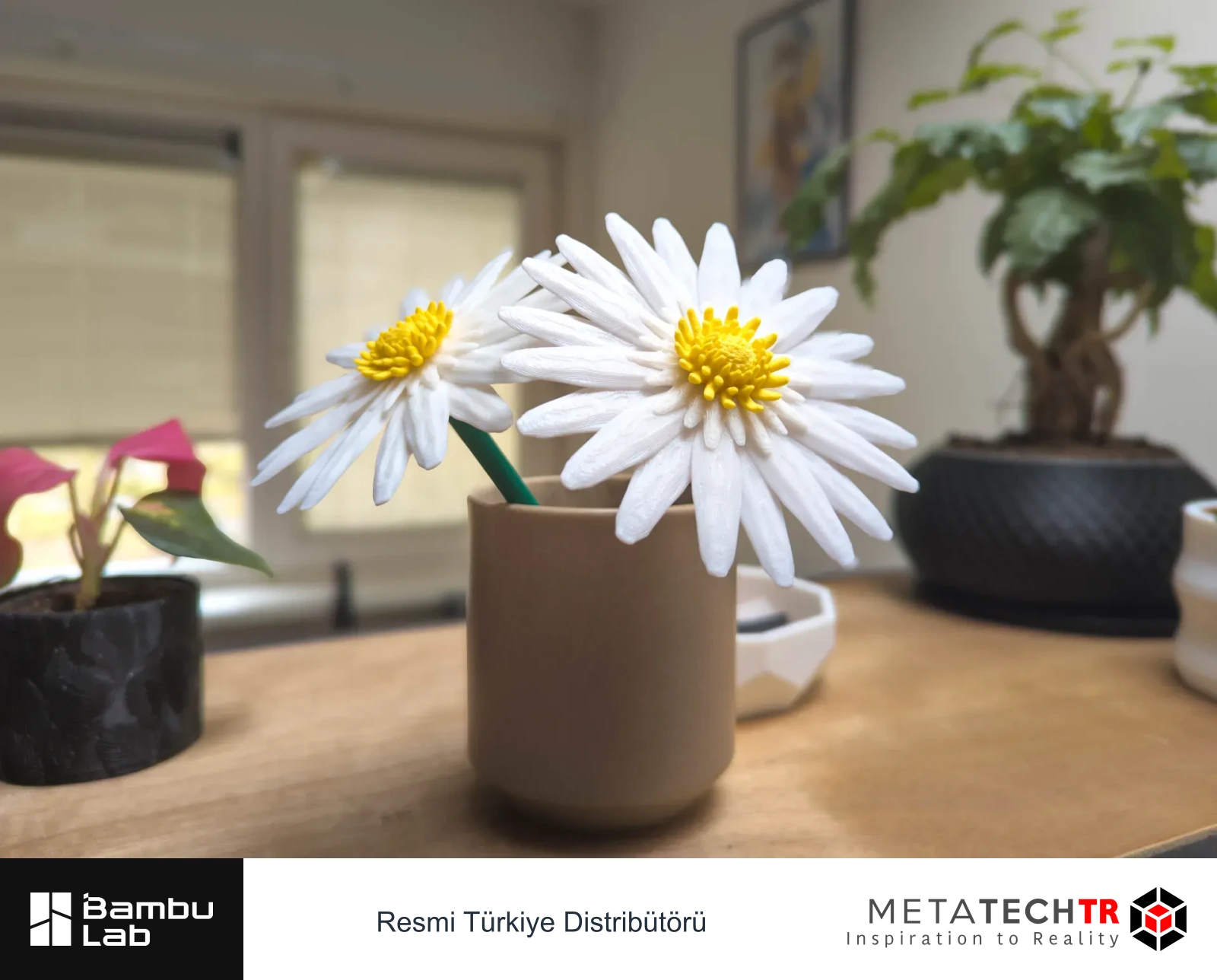 Dekoratif kapta beyaz yapraklı, sarı merkezli basılı papatyalar.