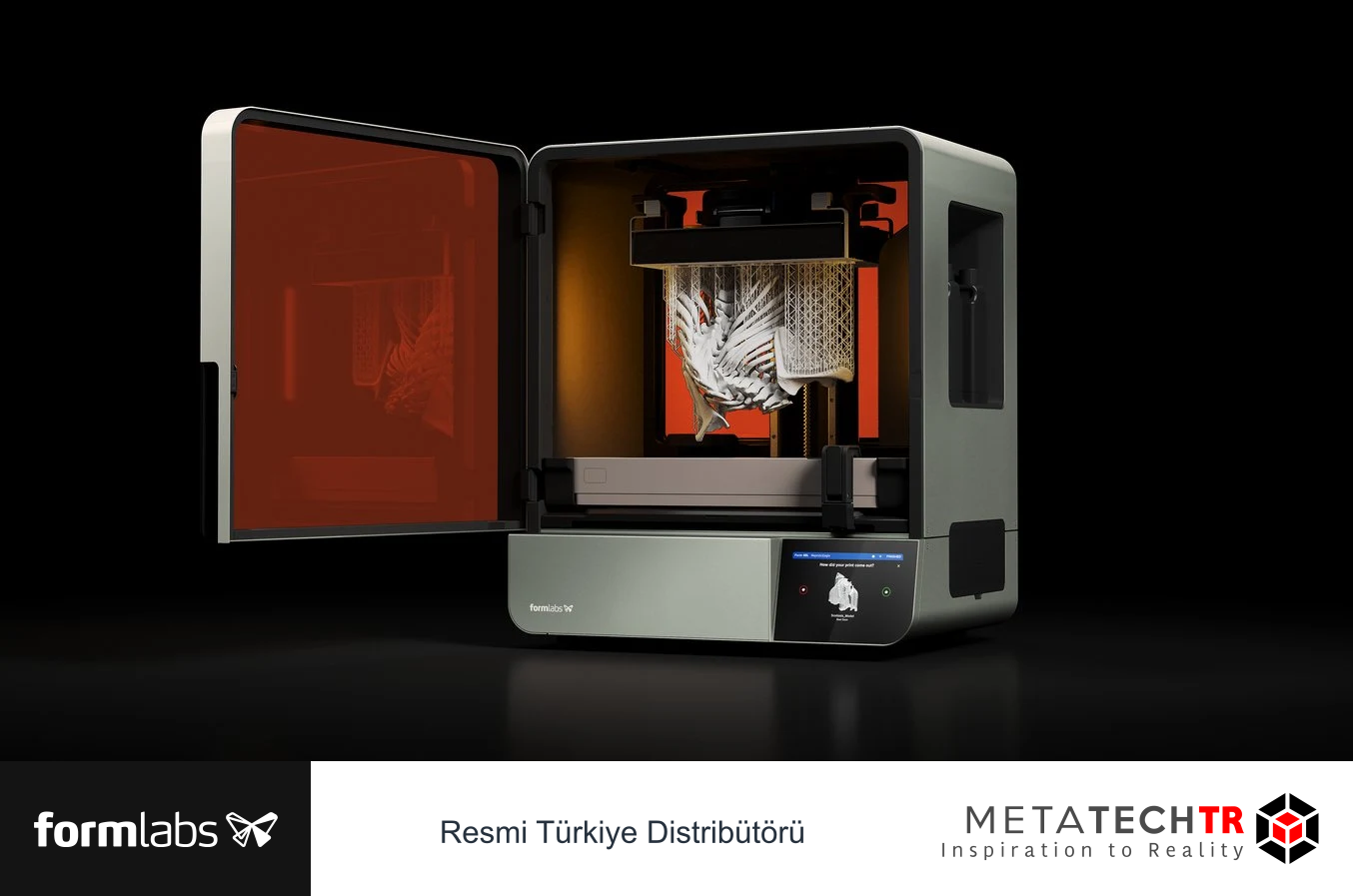 Form 4BL içinde destekli büyük anatomik model